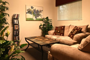carpeted living room, 2 couches, coffee table, plants, and dvd rack